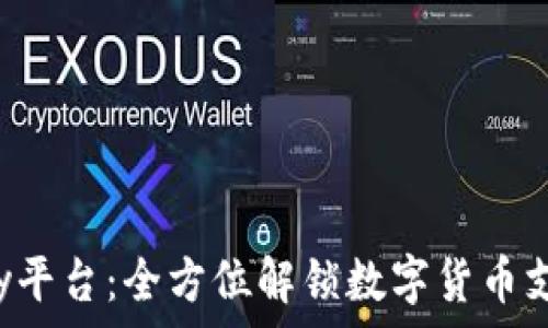   
CoinPay平台：全方位解锁数字货币支付体验