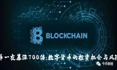 狗狗币一夜暴涨700倍：数字货币的投资机会与风险分析