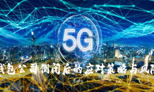 加密钱包公司倒闭后的应对策略与风险分析