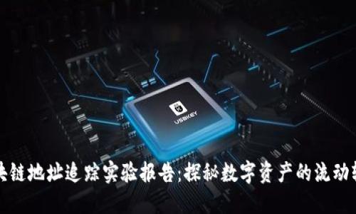 区块链地址追踪实验报告：探秘数字资产的流动轨迹