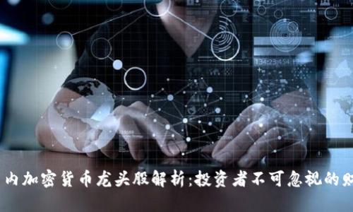 biaso国内加密货币龙头股解析：投资者不可忽视的财富机遇