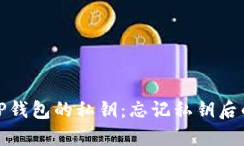 如何找回TP钱包的私钥：忘记私钥后的应对措施