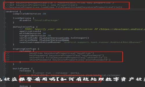 TP钱包被盗报警有用吗？如何有效处理数字资产被盗事件