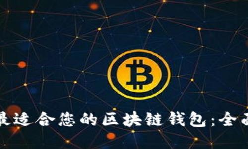 选择最适合您的区块链钱包:全面指南