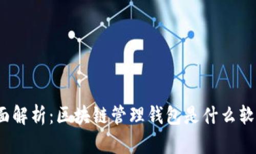 全面解析：区块链管理钱包是什么软件？