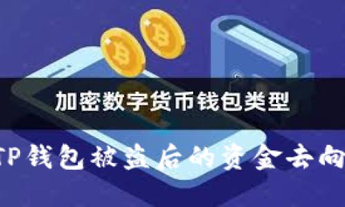如何追踪TP钱包被盗后的资金去向：完整指南