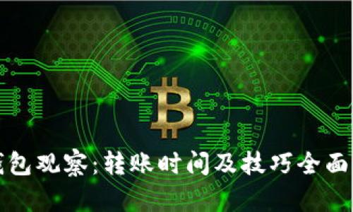 TP钱包观察：转账时间及技巧全面解析