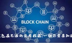 TP钱包在巴西的使用指南：