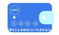 USDT在哪里？全面解析USD