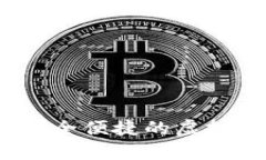 柚子币数字钱包：安全便