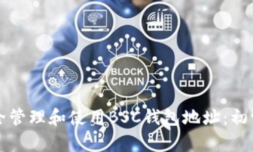 如何安全管理和使用BSC钱包地址：初学者指南