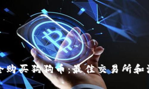 如何安全购买狗狗币：最佳交易所和注意事项