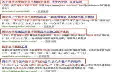   比特币的疯狂潮流：数字