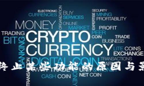 TP钱包终止某些功能的原因与影响分析