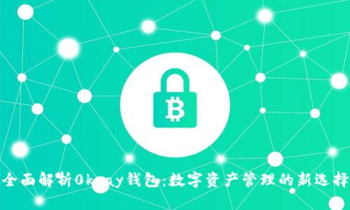 全面解析0kpay钱包：数字资产管理的新选择