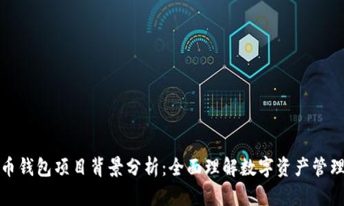 加密货币钱包项目背景分析：全面理解数字资产管理的未来