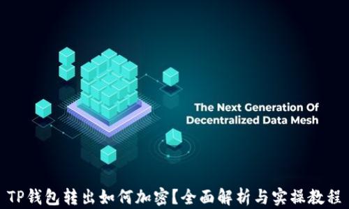 
TP钱包转出如何加密？全面解析与实操教程