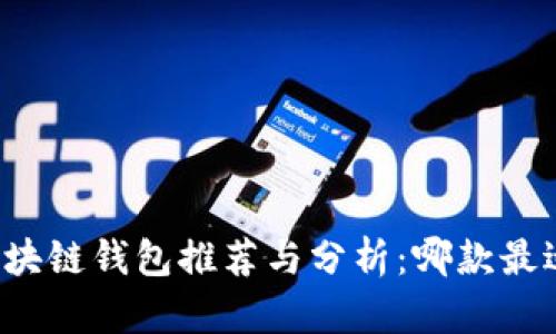国内区块链钱包推荐与分析：哪款最适合你？