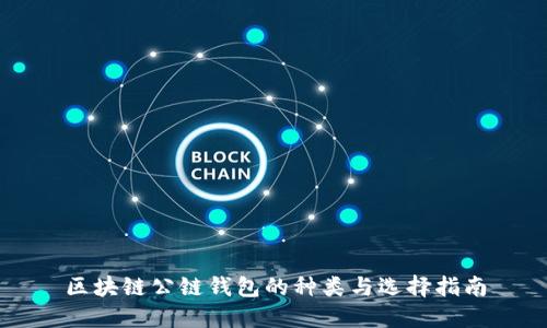 区块链公链钱包的种类与选择指南