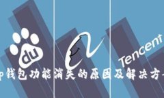 tp钱包功能消失的原因及解