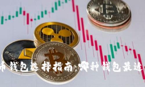数字币钱包选择指南：哪种钱包最适合你？