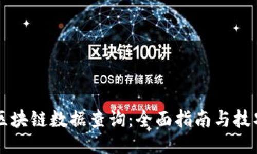 区块链数据查询：全面指南与技巧