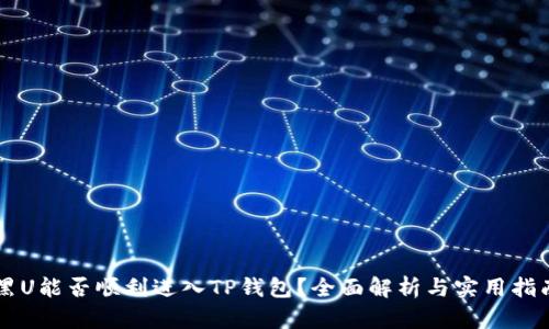 黑U能否顺利进入TP钱包？全面解析与实用指南